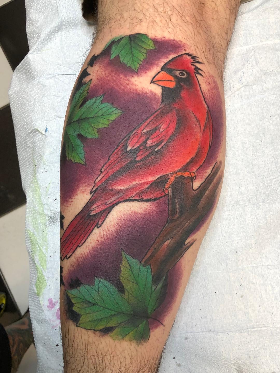 cardinal tattoo  design ideas and meaning  WithTattocom